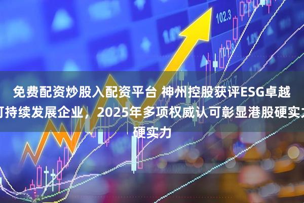免费配资炒股入配资平台 神州控股获评ESG卓越可持续发展企业，2025年多项权威认可彰显港股硬实力