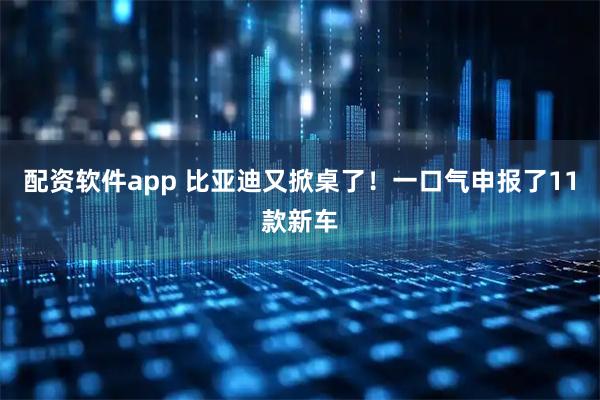 配资软件app 比亚迪又掀桌了!一口气申报了11款新车