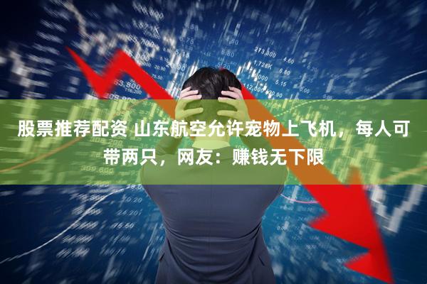 股票推荐配资 山东航空允许宠物上飞机，每人可带两只，网友：赚钱无下限